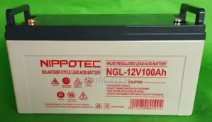 Nippotec 100ah Solar Battery