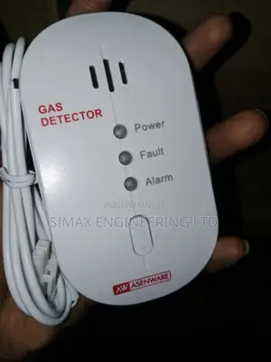 Stand Alone Gas Detector