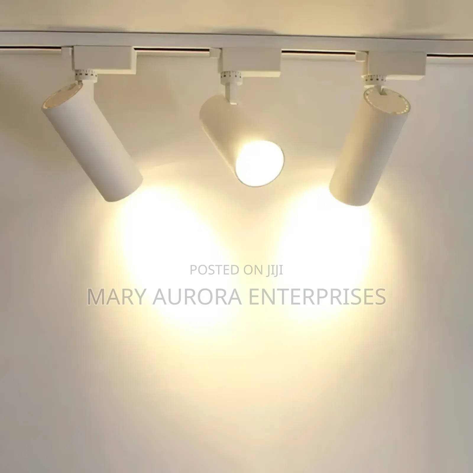 Track Light With Rail/Ceiling Lights