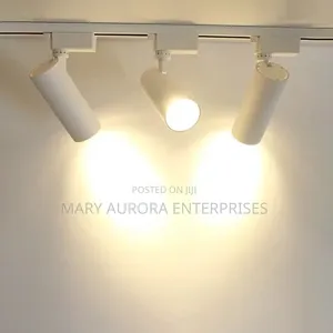 Track Light With Rail/Ceiling Lights