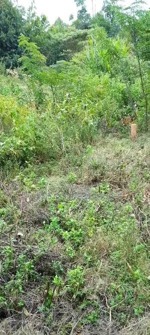 50by 100 At Kamangu Gitutha Area