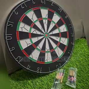 Professional Dart Board