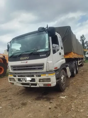 Trailers for Goods and Loose Cargoes Transport Accessible