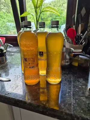 Kombucha Ready To Drink