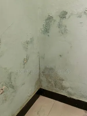 Damp-Rise Treatment – Stop Wall Dampness Peeling Paint!