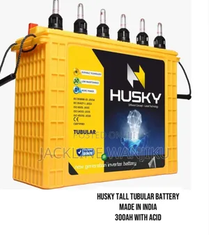 300ah Husky Tall Tubular Battery/ Acid Battery Tall Tubular 300ah