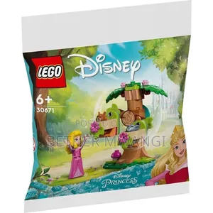 Lego 30671 - Disney Aurora's Forest Playground in Kenya
