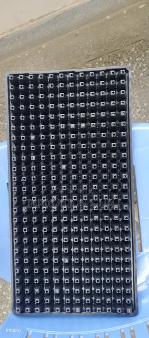 Nursery Trays 12*24