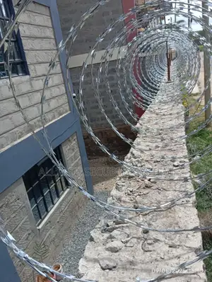 Double Galvanized Silver Razor Wire