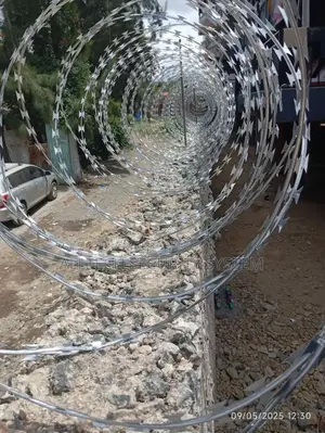 Double Galvanized Silver Razor Wire