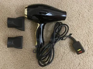 Electronic Hair Dryer