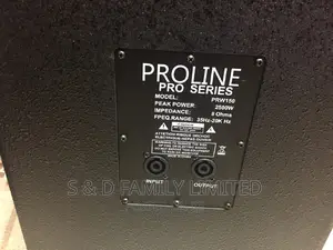 Proline Wooden Midrange Speaker 2500 Watts