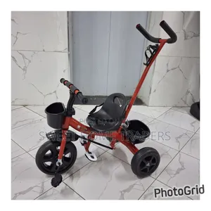Tricycle With Push Handle and Safety Belt