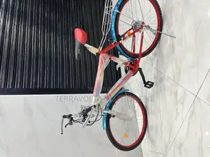 Victory Mountain Bike Size 26