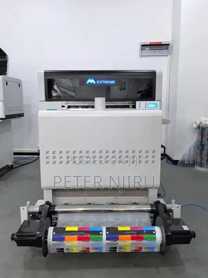 Extreme 30 Cm DTF Printer With Double Epson Xp I1600 Printheads