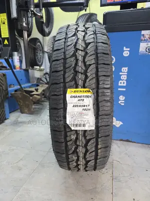 225/65r17 Dunlop Grandtrek All Terrain Tire