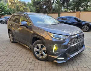Toyota RAV4 Hybrid 2019 Gray