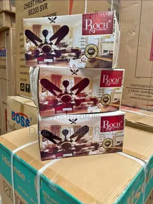 Roch 24inches Ceiling Fan