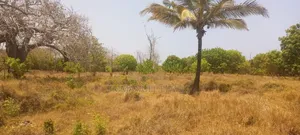 3 Acre Plot for Sale in Tiwi, Kwale