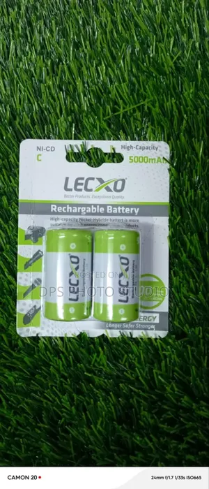 Lecxo C-Size Rechargeable Batteries.