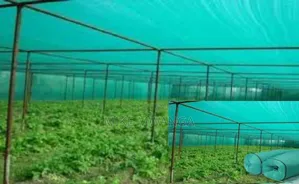 Long Lasting Agricultural Net 4x50m
