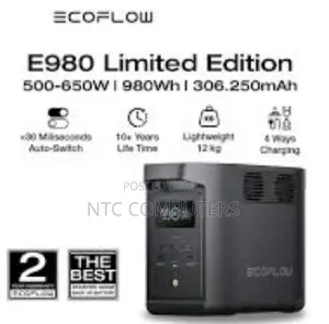 Ecoflow E980 Portable Power