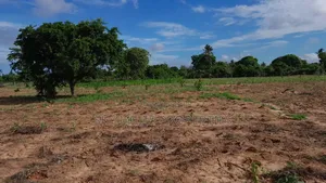 13-Acre Farm for Sale- Majaoni