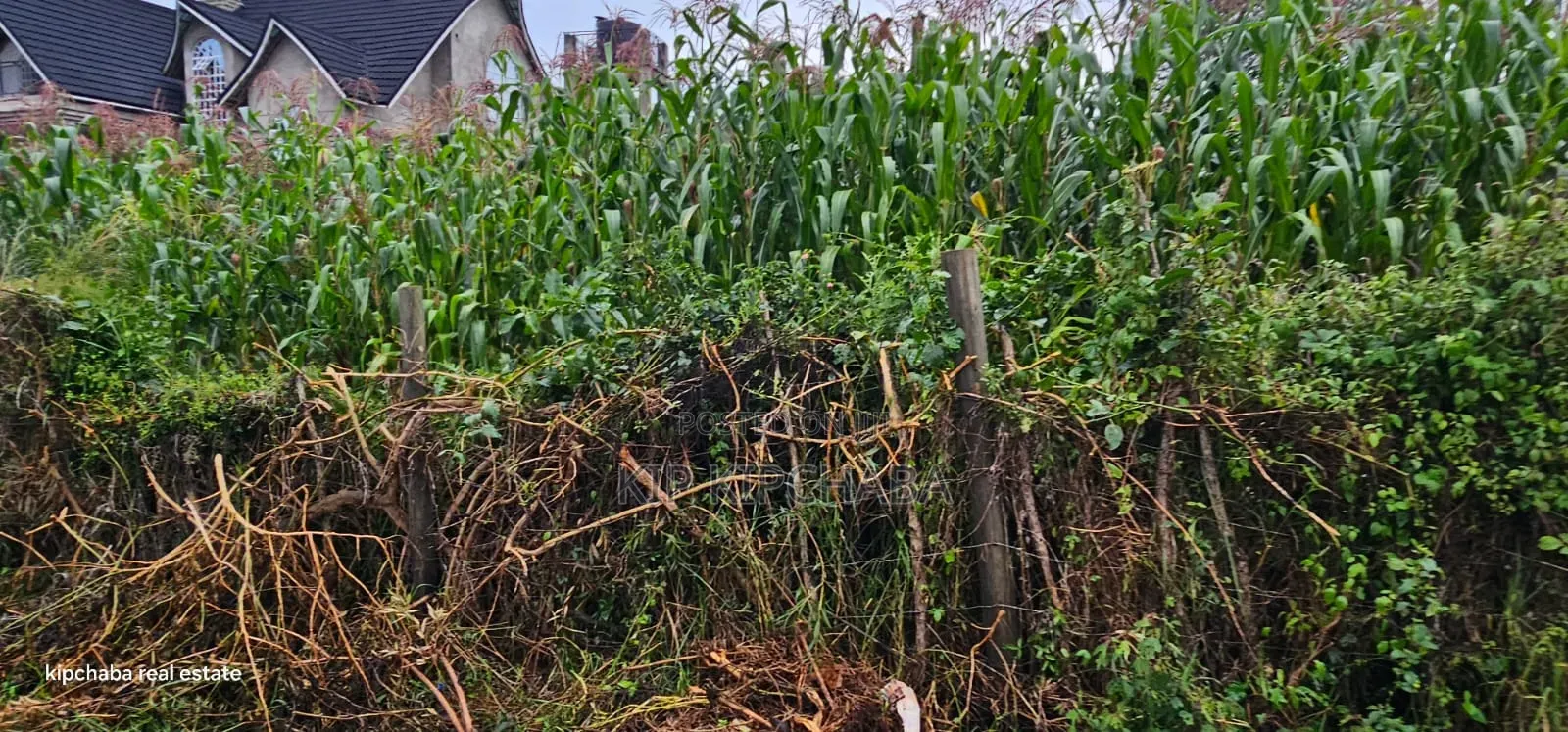 1⁄4 Plot for Sale in Hillside Eldoret