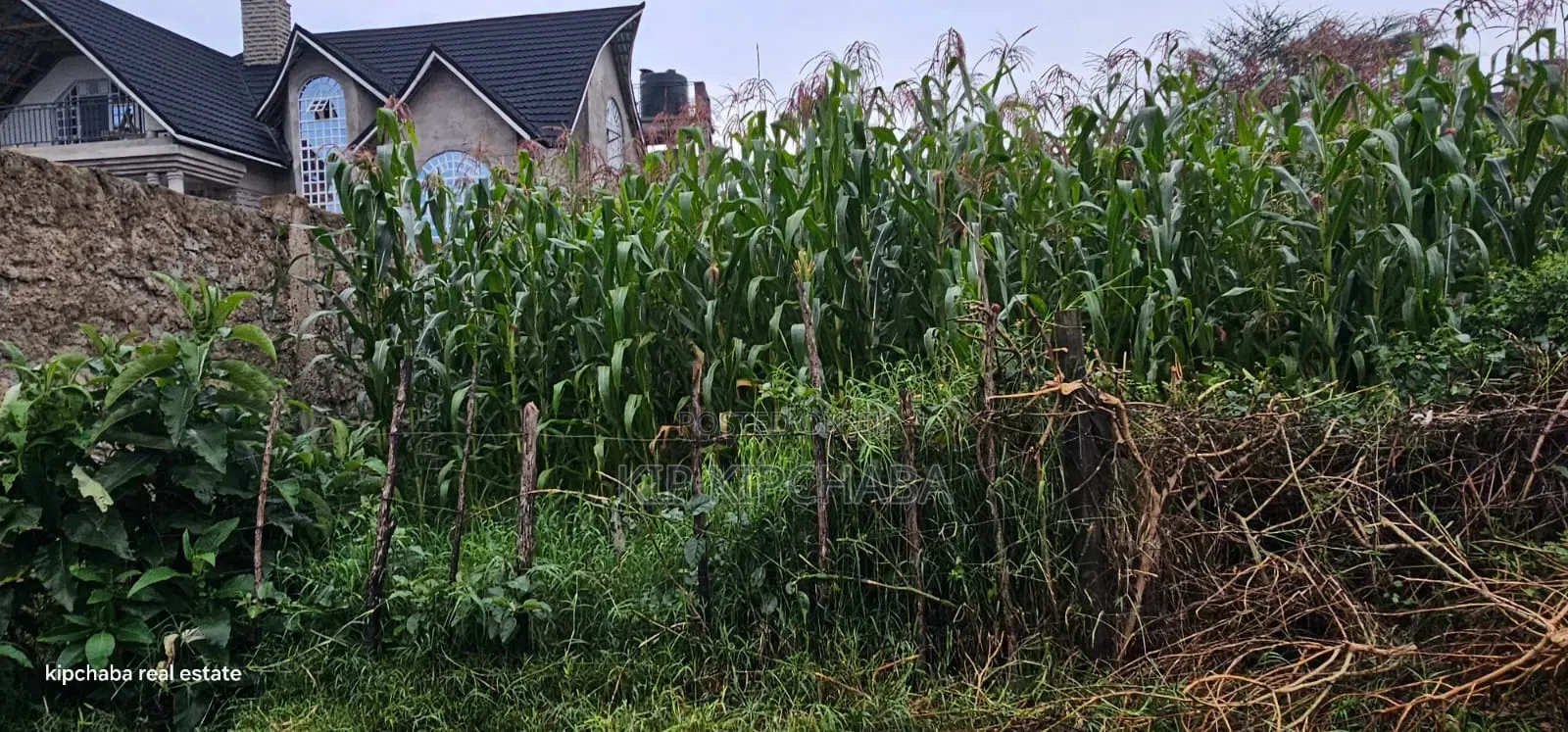 1⁄4 Plot for Sale in Hillside Eldoret