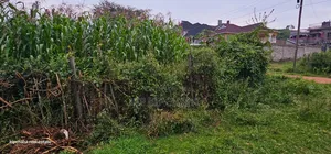 1⁄4 Plot for Sale in Hillside Eldoret