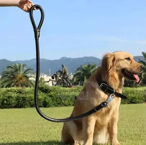 Pu Leather Dog Leash