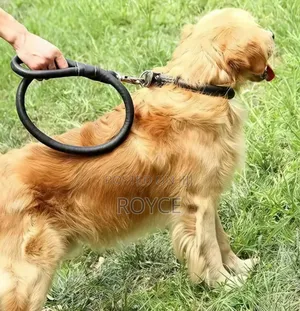 Pu Leather Dog Leash