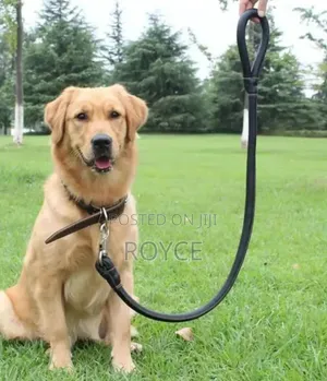 Pu Leather Dog Leash