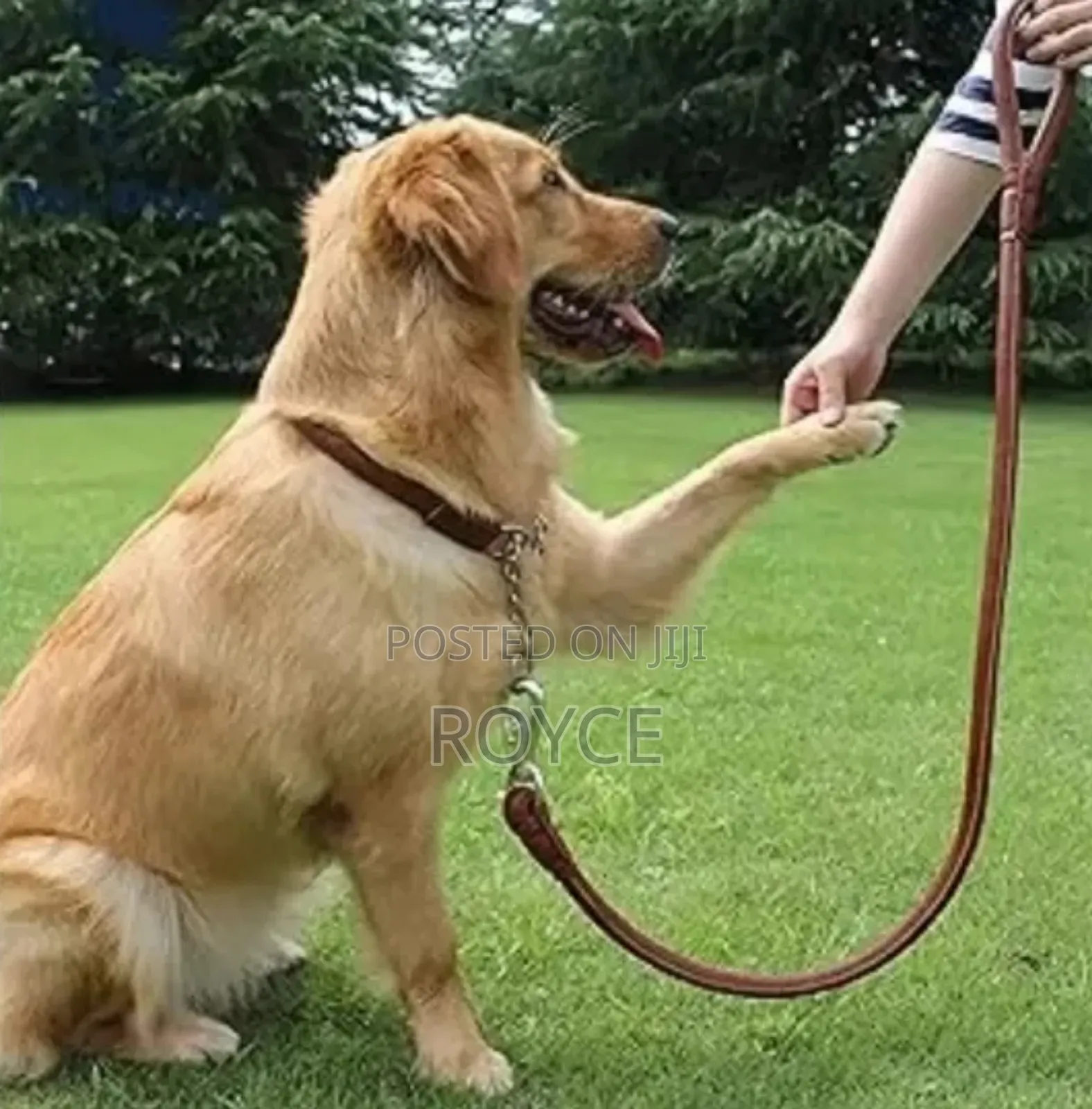 Pu Leather Dog Leash