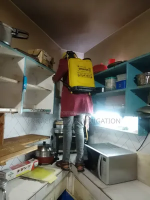 Cockroaches/Bedbugs/ Mosquitoes Fumigation