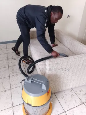 Valuable Sofa and Pest Services