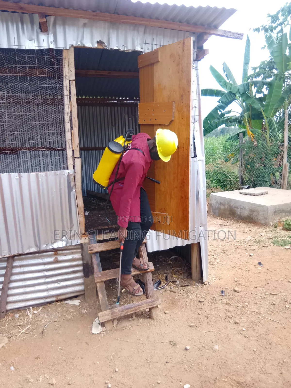 Bedbugs and Cockroaches Removing