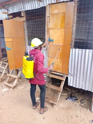Bedbugs and Cockroaches Removing
