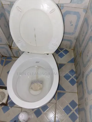 Kitchen Sink Bowels Cleaning