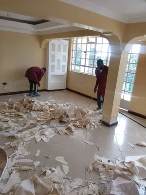 Floor Tile and House Cleaning