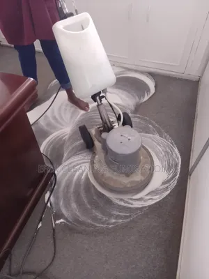 Experienced Carpet and Fumigation Services