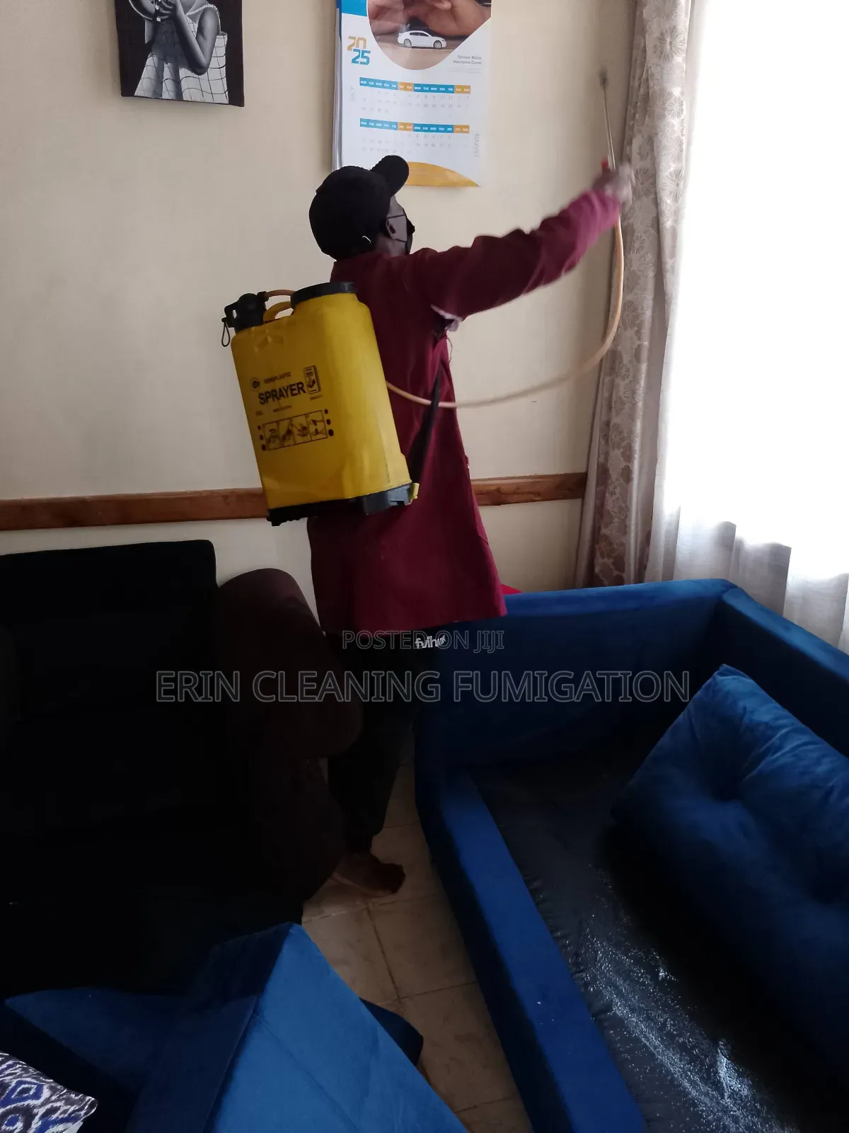 Routine Bedbugs and Cockroaches Elimination