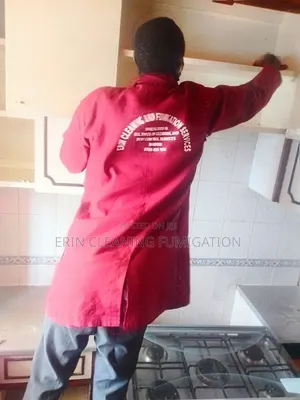 Kitchen Cleaning and General House Cleaning