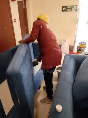 Cheap Dinning and Sofa Cleaning Services