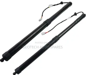 Lexus Rx350 / 450h Electric Boots Shocks