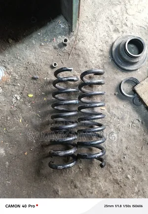 BMW X5 Rear Coil Spring for Ground Clearance Each