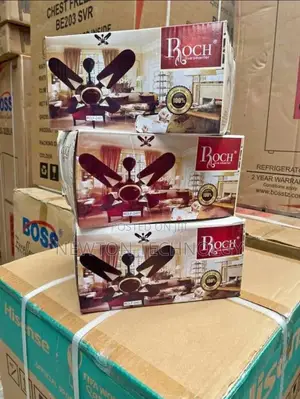 Roch 24inches Ceiling Fan