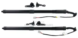 Lexus Nx 200t Electric Boot Shocks