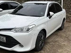 Car Hire Services