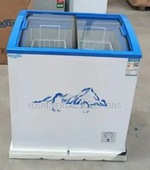 Freezer Ecomax 159litres Display